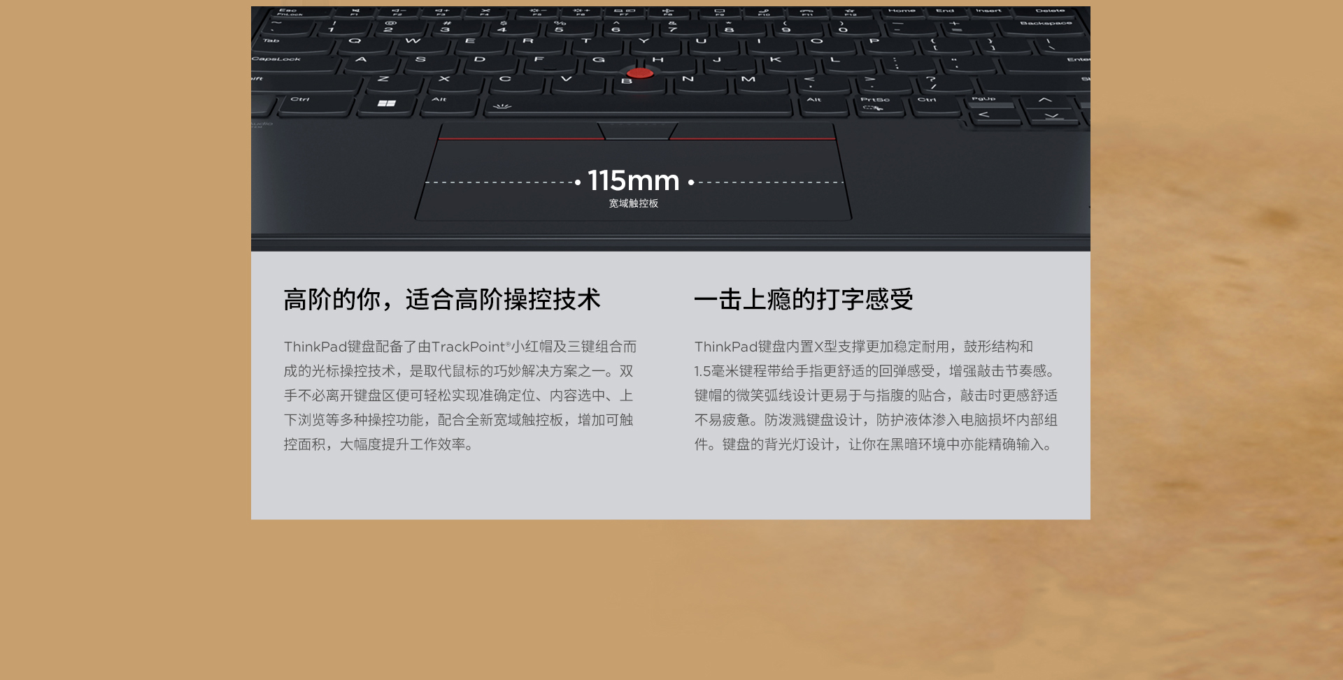 联想ThinkPad T16 Gen2 intel商用笔记本
